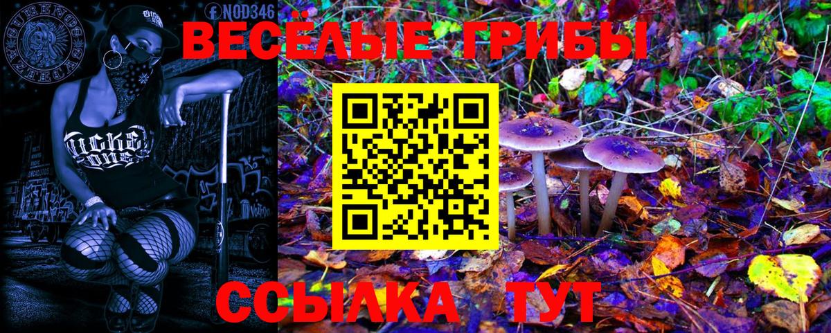 Галлюциногенные грибы Cubensis  Вход с VPN  Электрогорск 